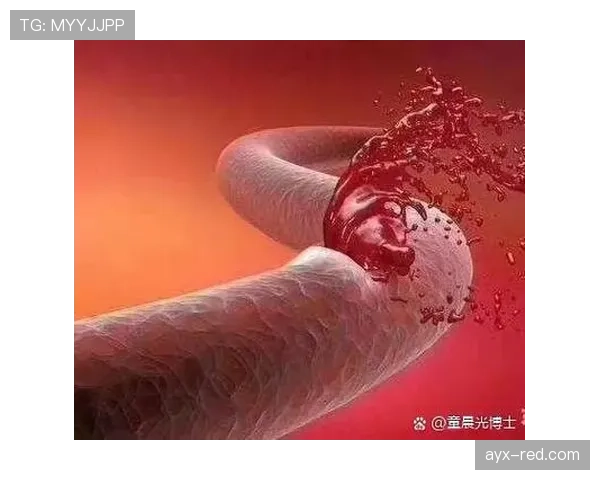 手球判罚核心：是否扩大身体面积与可避免性